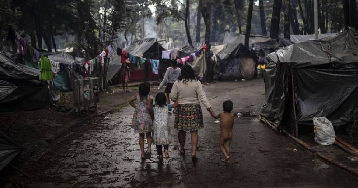 Un tercio de los casi 2000 indígenas desplazados consiguen nuevo hogar
