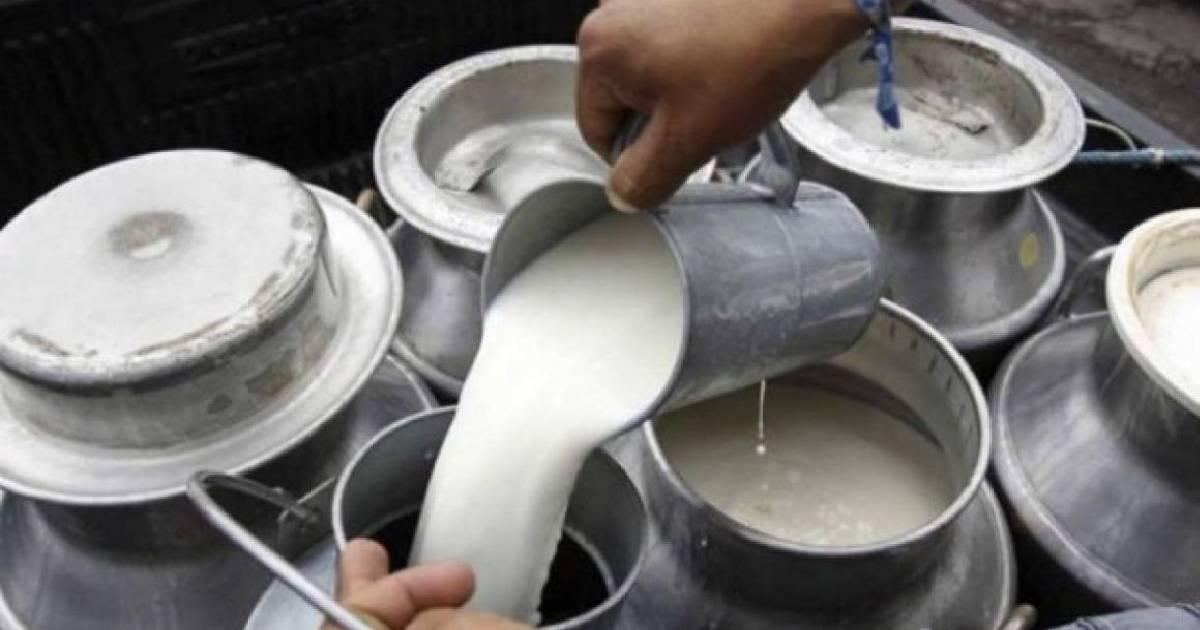 En Colombia podrían perderse 20.000 litros de leche por el paro armado