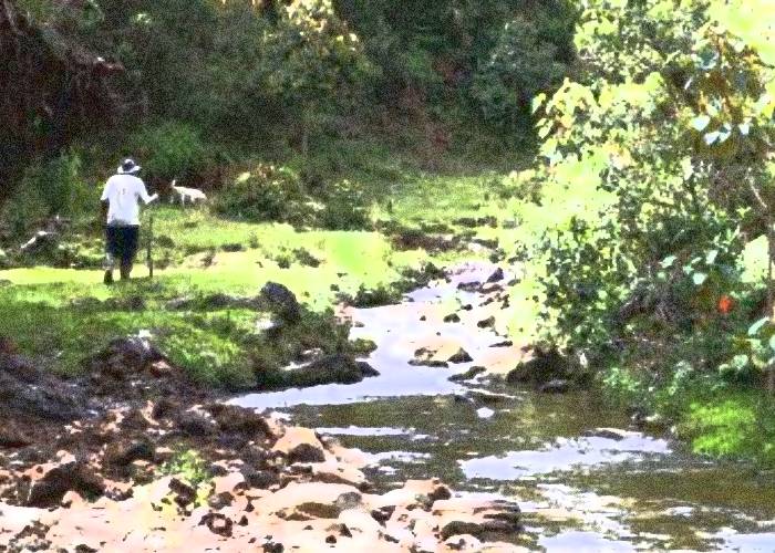 Lo que revela el más reciente informe “La guerra no para en Antioquia”