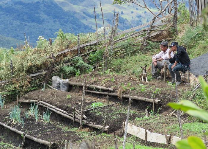 La muerte vuelve y elige ciertos municipios del Cauca