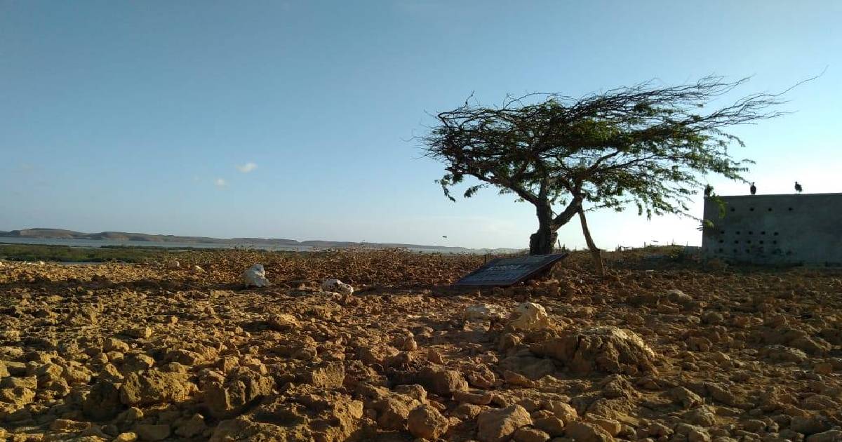 ¿Se armará la inmunda en estas manoseadas y locas elecciones presidenciales?