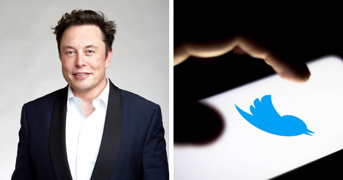Las razones por las que el multimillonario Elon Musk está detrás de Twitter