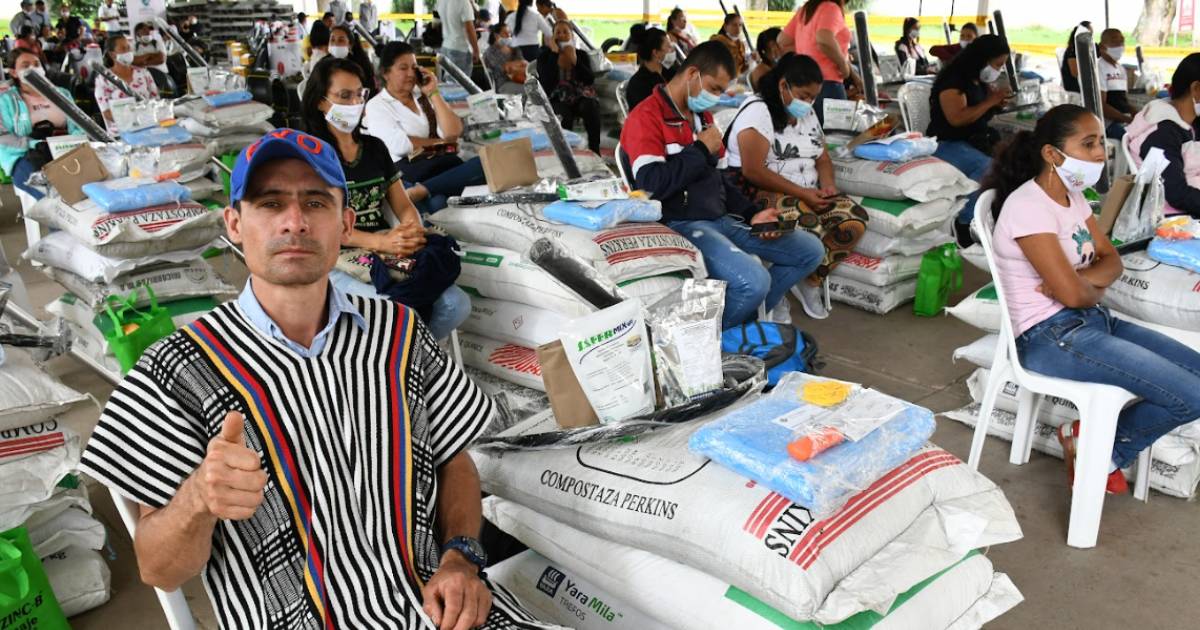 Así se cultiva la bonanza en la zona rural del Valle del Cauca