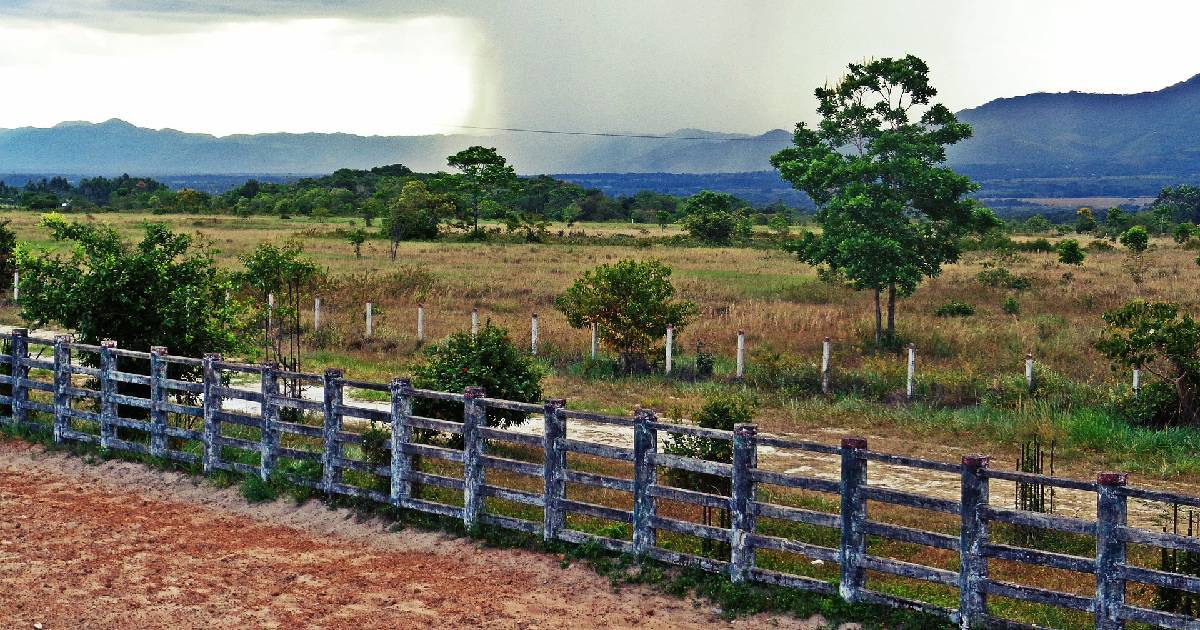 ¿Cuáles son los compromisos de los candidatos presidenciales con Casanare?