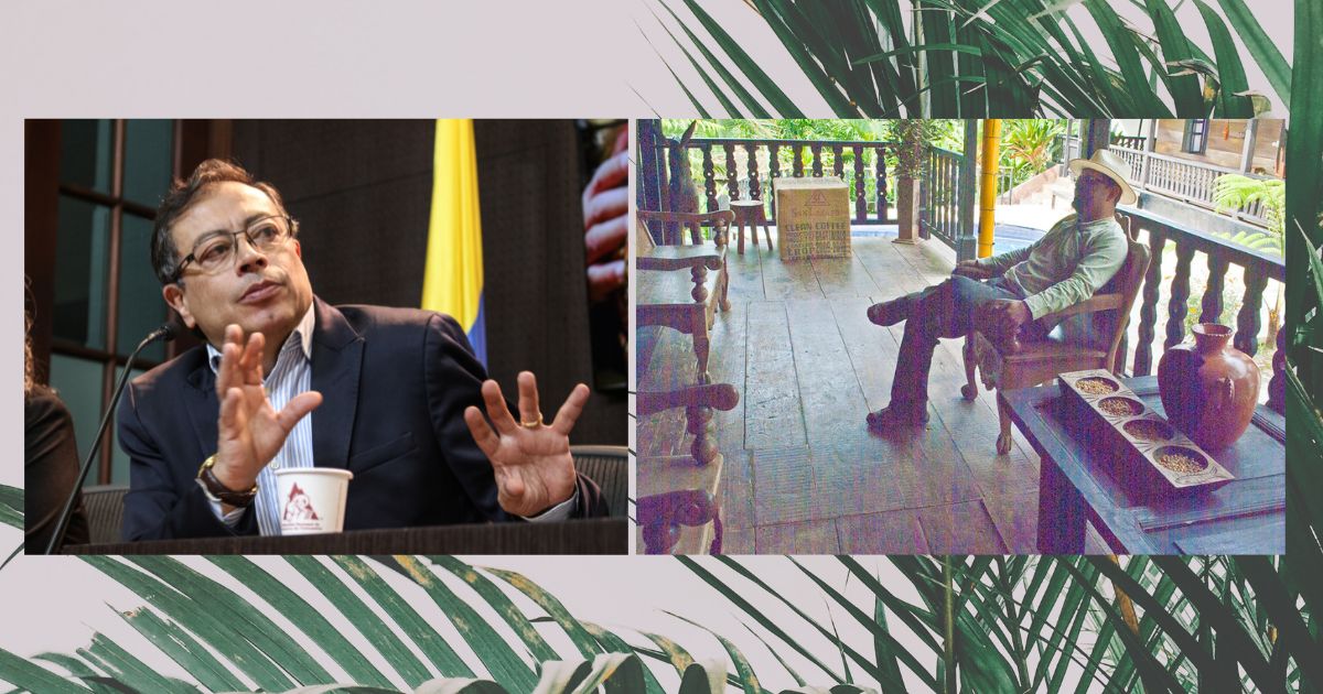 Qué pena les daño la fiesta