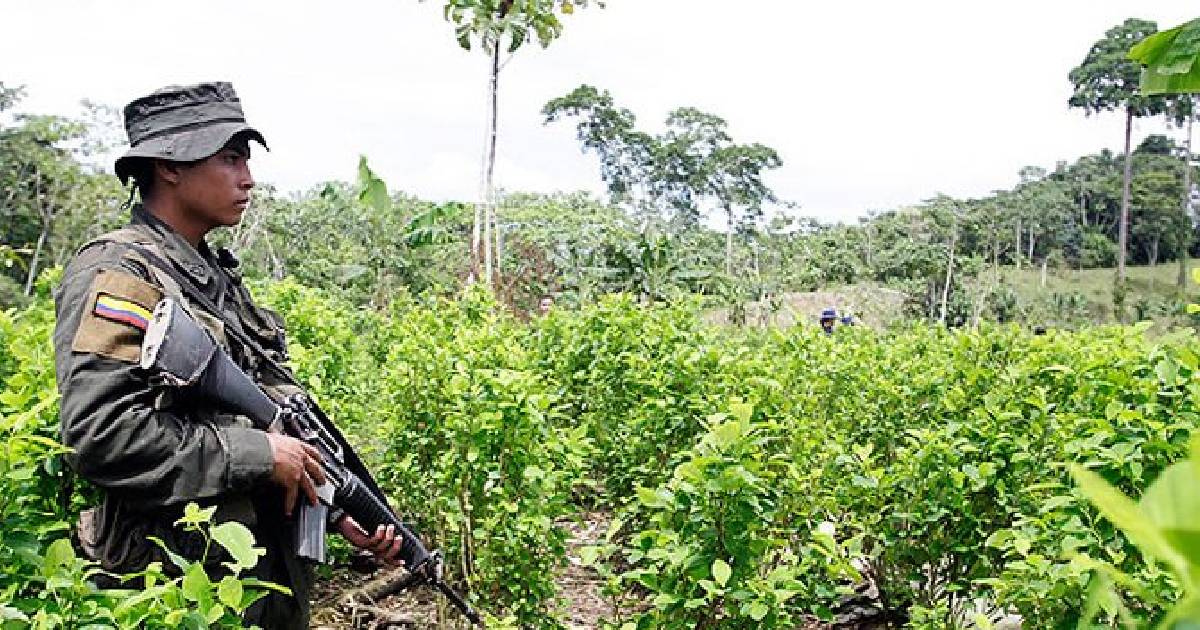 Esto es lo que muestran las cifras de esplazamiento forzado en el Catatumbo