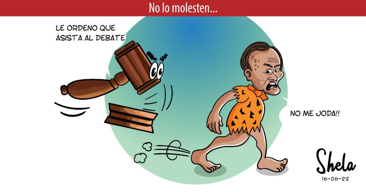 Caricatura: No lo molesten...