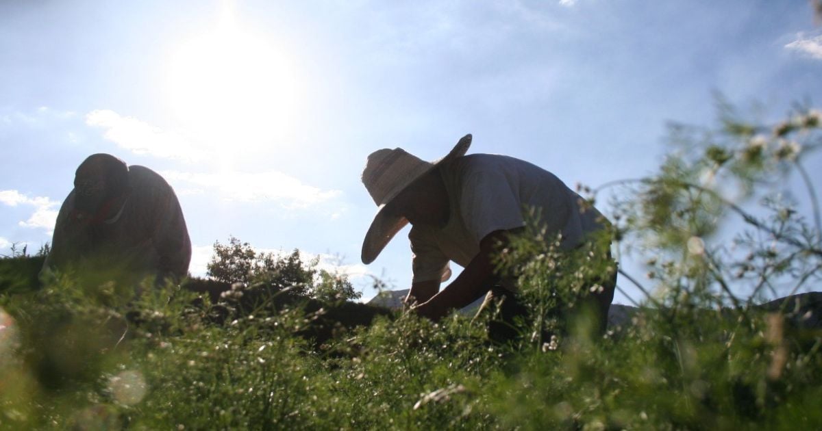 El viacrucis que viven las víctimas para lograr restituir sus tierras