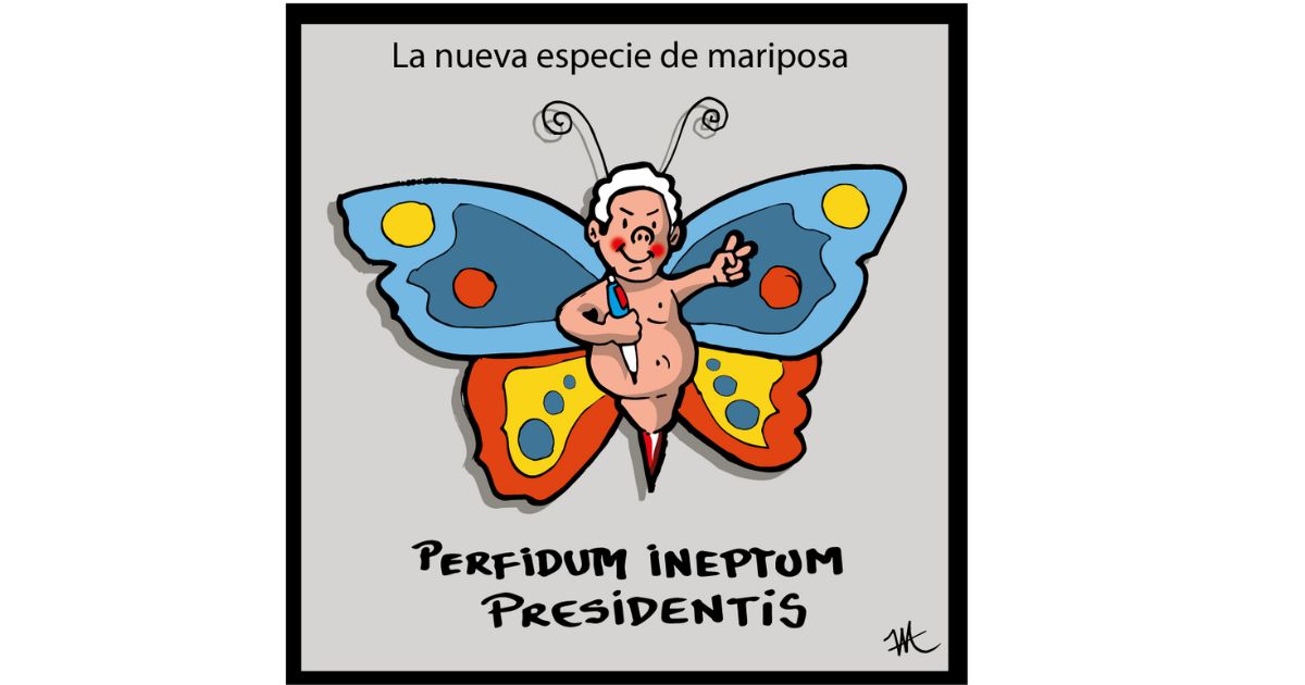 Caricatura: Nueva mariposa