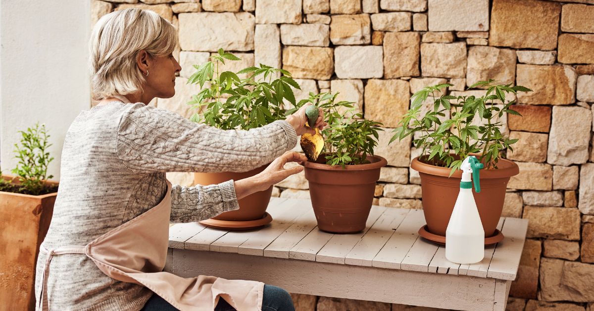 Sistema nacional del cuidado: escenarios de imaginación política