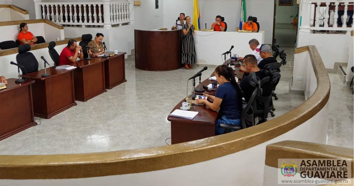 Qué está sucediendo en la Asamblea Departamental del Guaviare