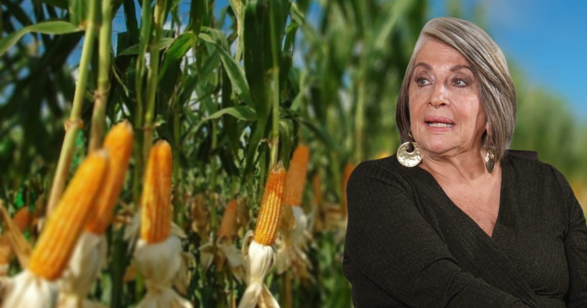 La ministra que, en contravía, nos quiere poner a sembrar maíz
