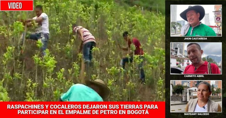 Raspachines y cocaleros - Raspachines y cocaleros se hacen oír en el empalme de Petro en Bogotá