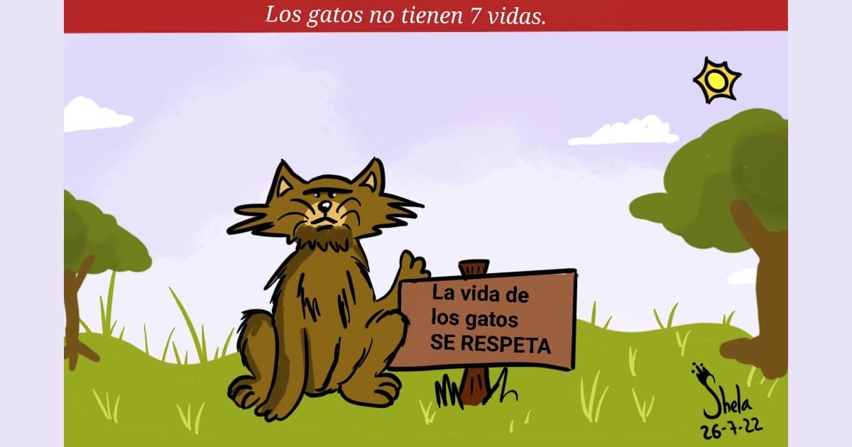 Caricatura: Los gatos no tienen 7 vidas