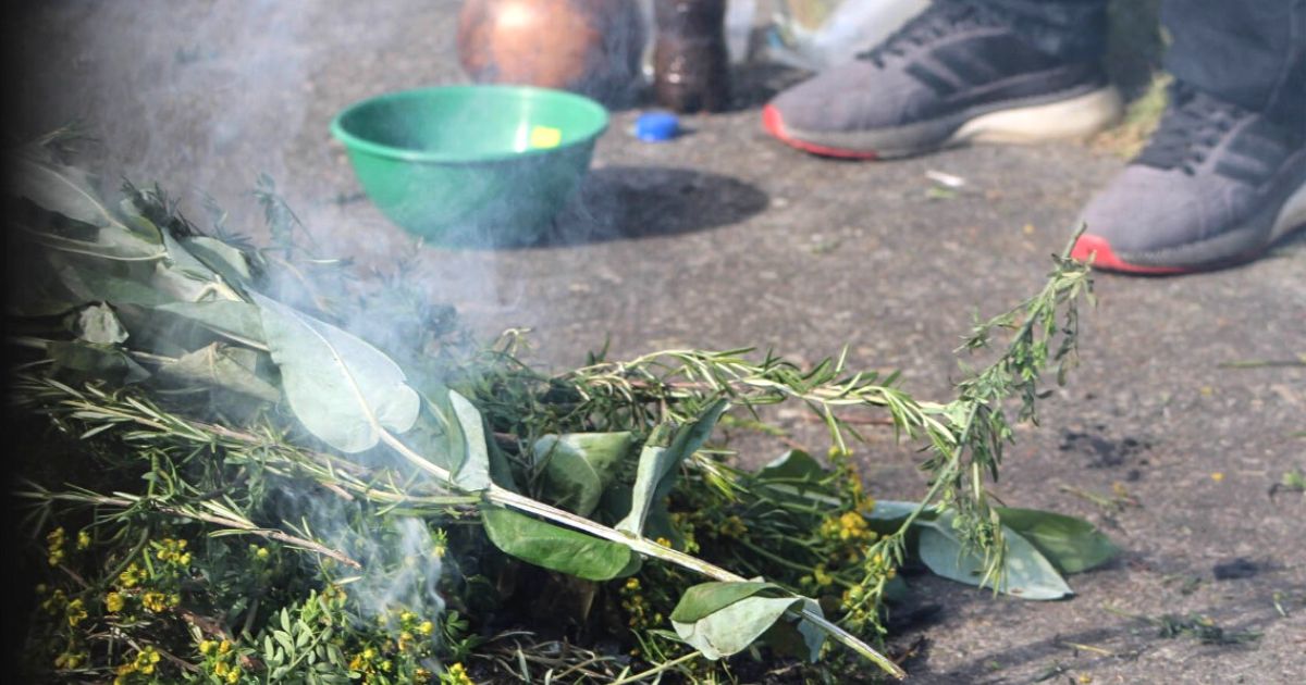 Yagé, un viaje al mundo amazónico