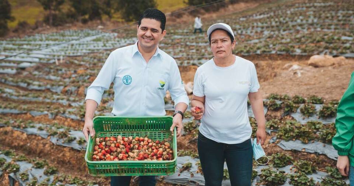 “En 10 años no tendremos quién siembre comida en Colombia”: Rodolfo Correa