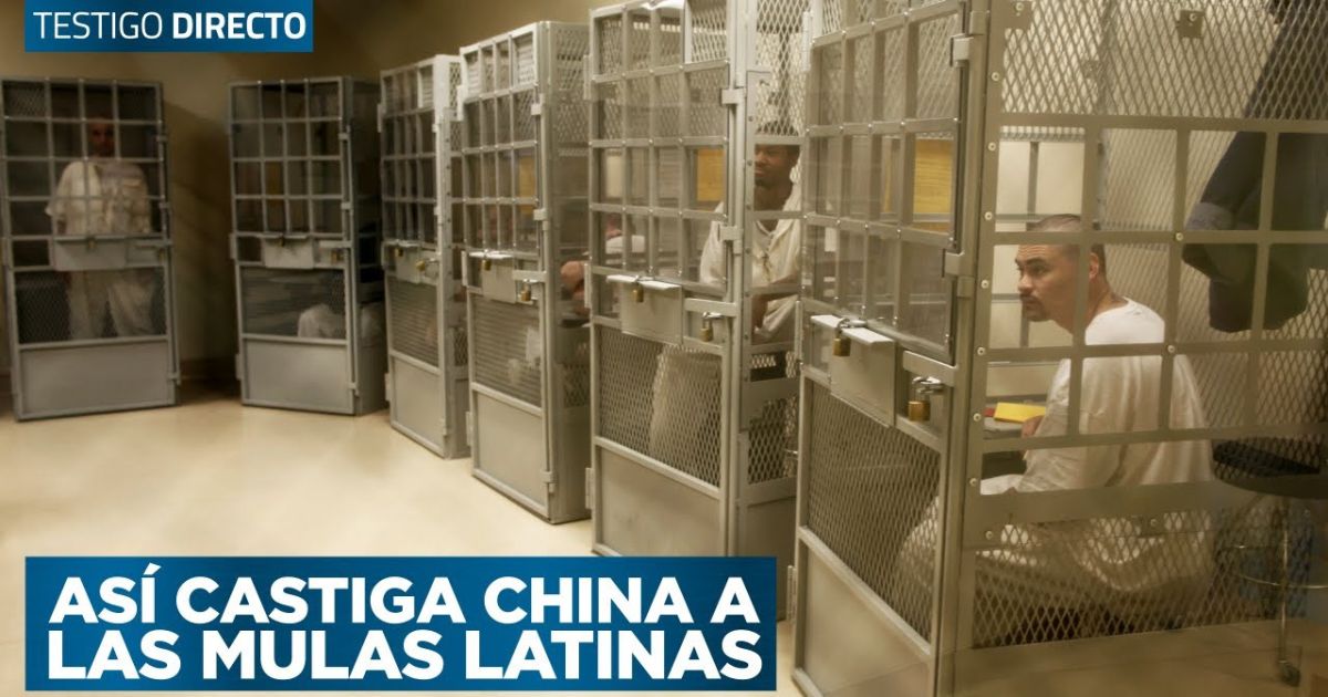 Cadena perpetua y pena de muerte: así castiga China en su país a mulas latinas