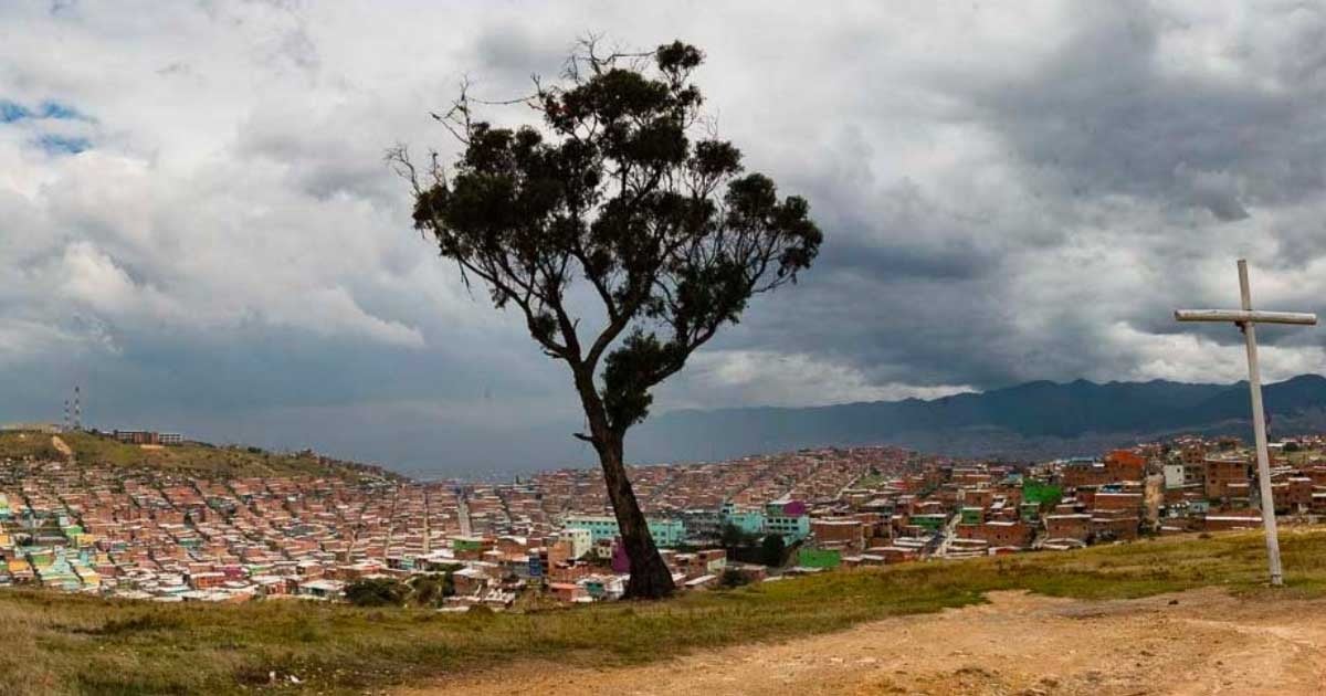 El árbol del ahorcado: el lugar más terrorífico del sur de Bogotá