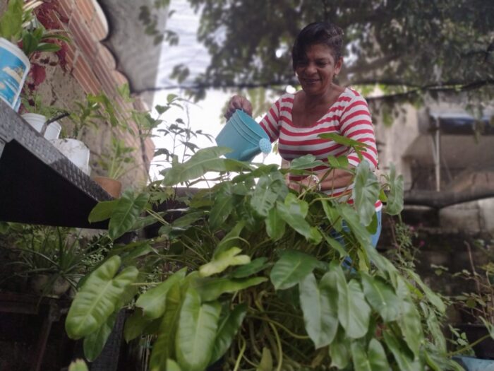  - Julio Sánchez Cristo, la novelesca traga de una humilde costurera de Sincelejo