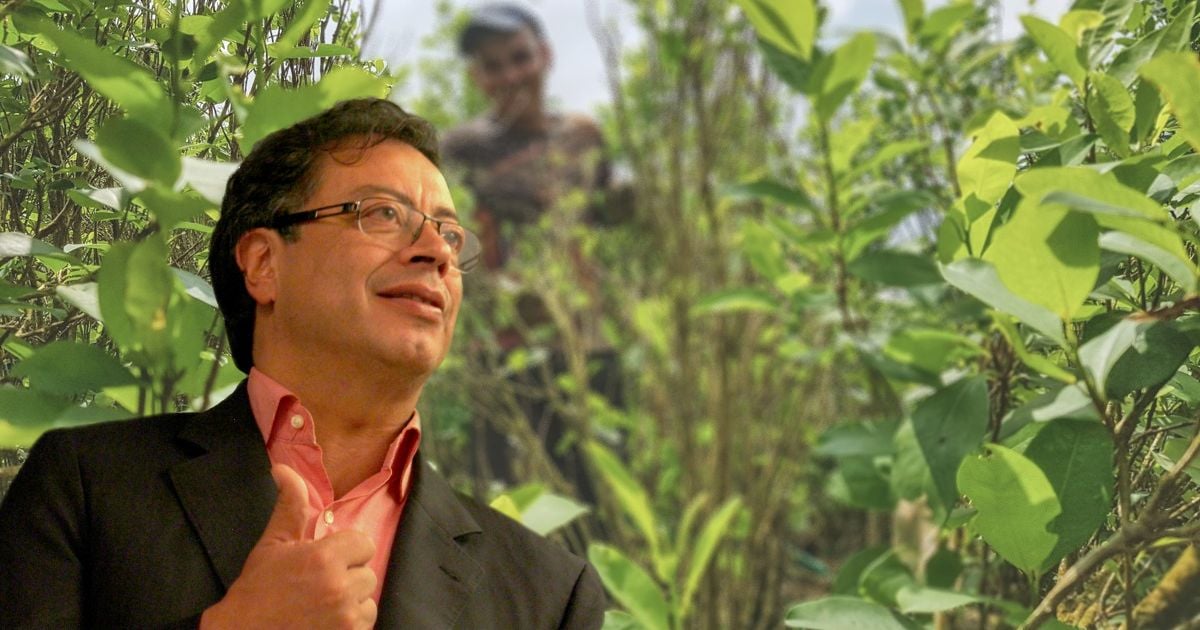 Con la llegada de Gustavo Petro, Colombia se abre paso hacia la legalización de las drogas