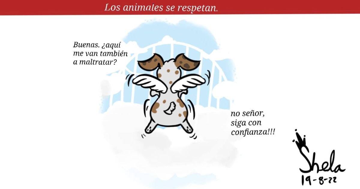 Caricatura: Los animales se respetan