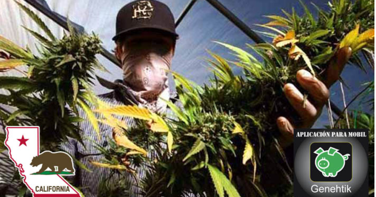 La guerra hipócrita