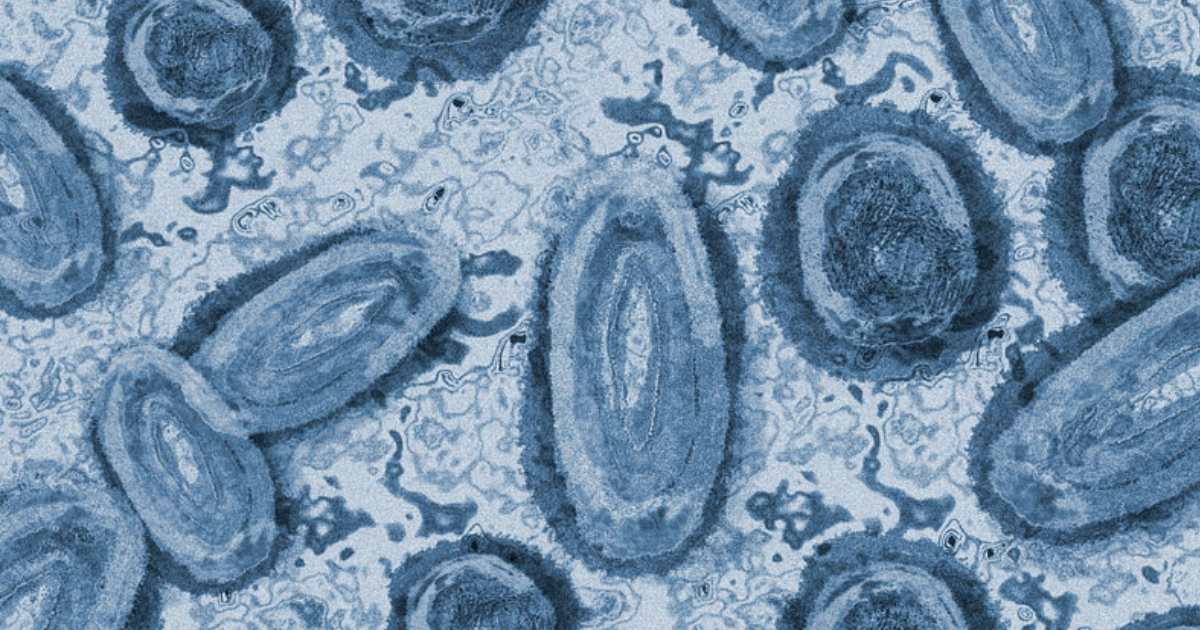 Se reporta el primer caso de viruela del mono en municipio del Atlántico