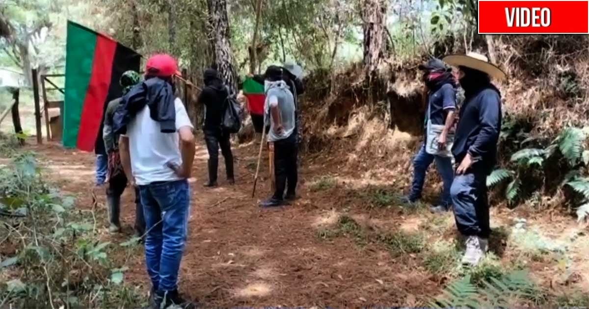 Reaparecen ‘Los Nietos de Quintín Lame’ invadiendo la tradicional hacienda Japio en el Cauca