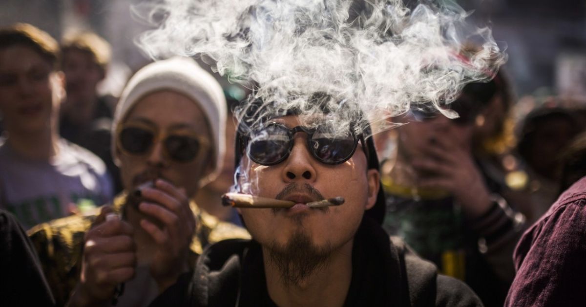 Investigación científica demuestra los riesgos de legalizar la marihuana recreativa