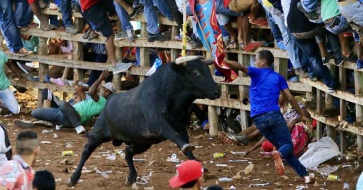 No para la barbarie: en Magdalena caballistas linchan un toro