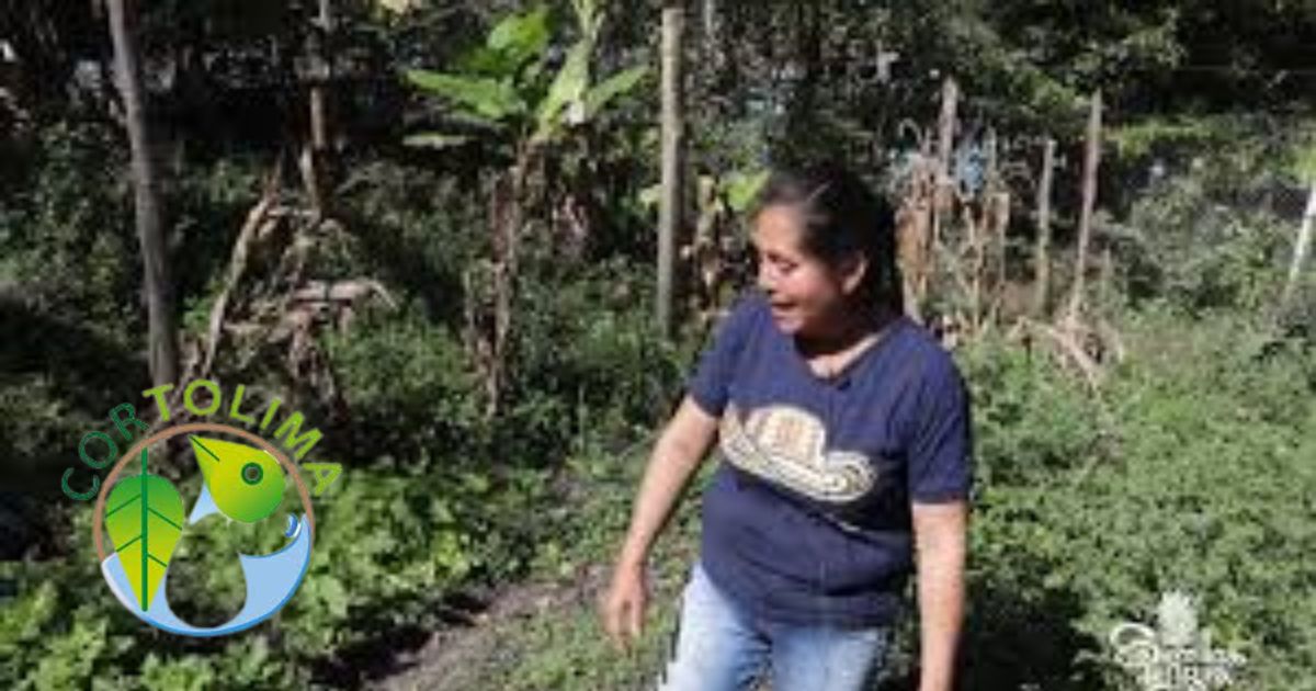 Cortolima no compensará a las familias del Parque Natural Regional Anaime Chilí (PNRAC)