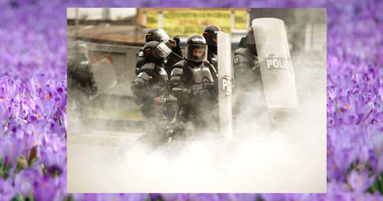  -  ¿El Esmad es más o menos la "nueva inteligencia" de Petro?