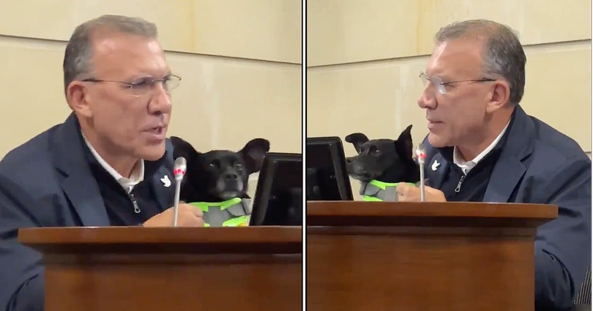 Orinando en el Capitolio