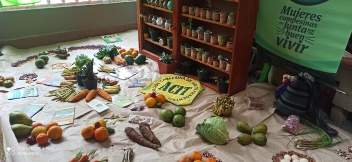  - Campesinas de Inzá, Cauca, hicieron juntanza para conocer sus derechos y fortalecer su identidad