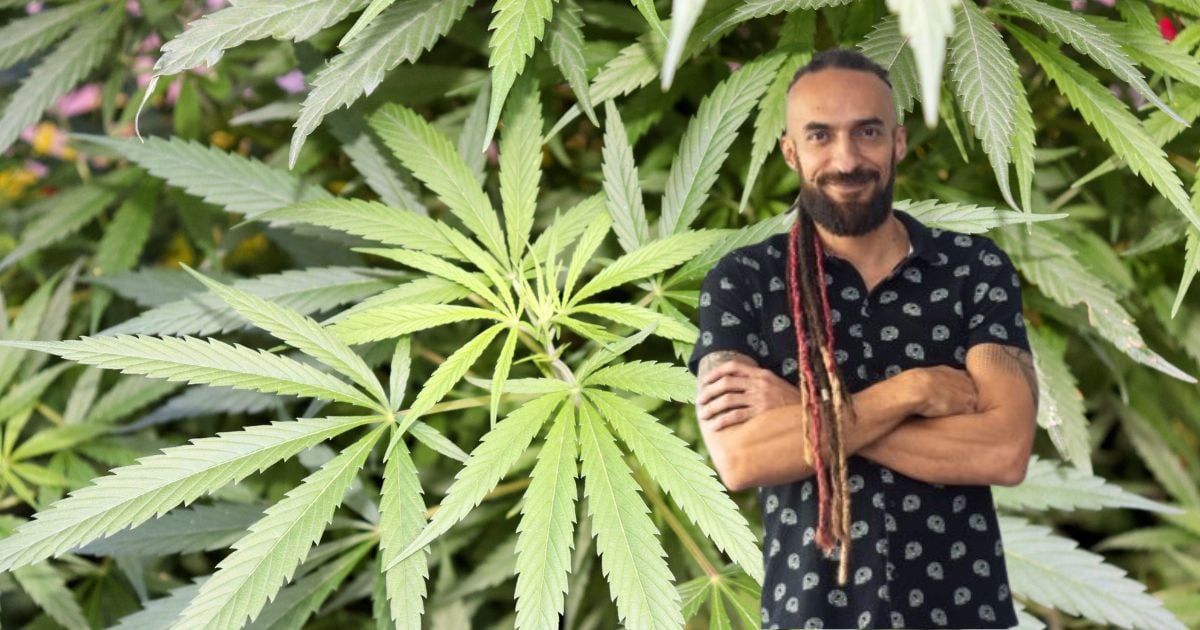 Daniel Carvalho: la prueba de que no deberían despenalizar la marihuana en Colombia