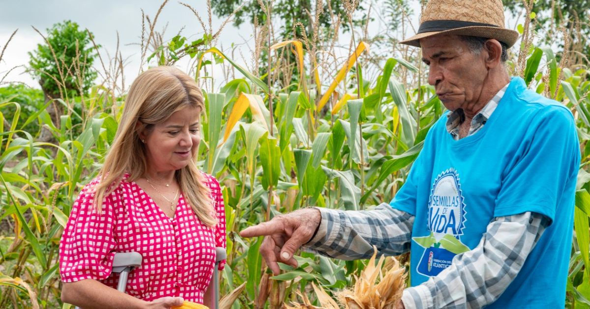 Con 'Semillas de Vida', 1.650 campesinos del Atlántico tienen seguridad alimentaria y están generando ingresos