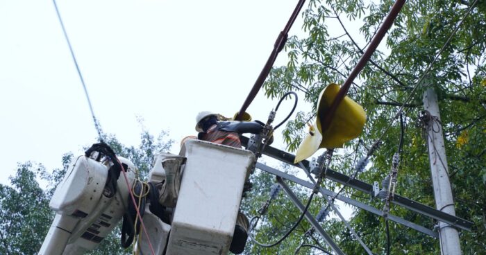  - Las ventajas que ya pueden disfrutar los caleños con EMCALI y su cable ecológico