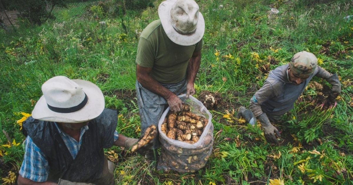 Campesinos de Cajamarca buscan apoyo de la ONU para defenderse de megaproyecto minero