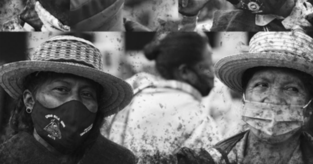 Las desastrosas secuelas de la pandemia en un documental colombiano