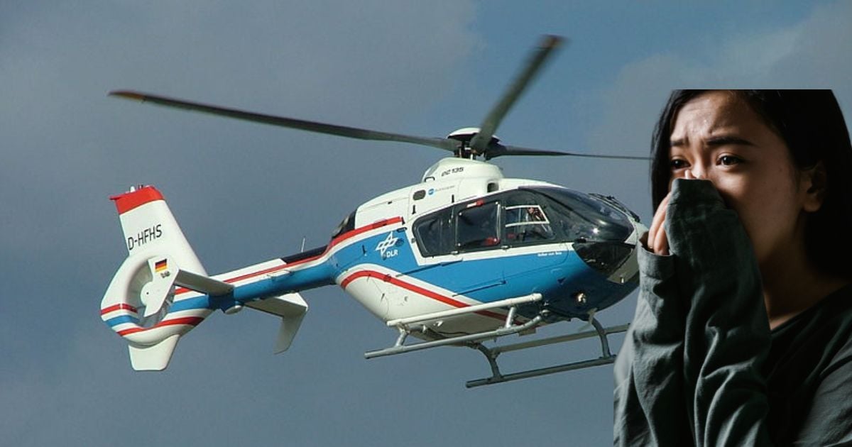 Cuento: La llegada del mosco