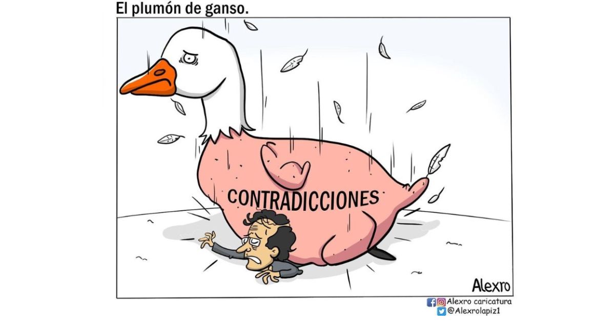 Caricatura: El plumón de ganso