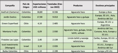  - ¿Quiénes cultivan los limones Tahití, el aguacate y la exótica gulupa que se venden en el mundo?