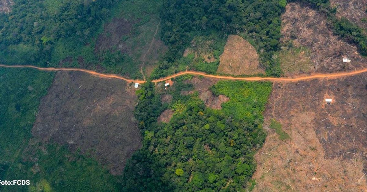 La carretera en el Guaviare que está destruyendo el Amazonas