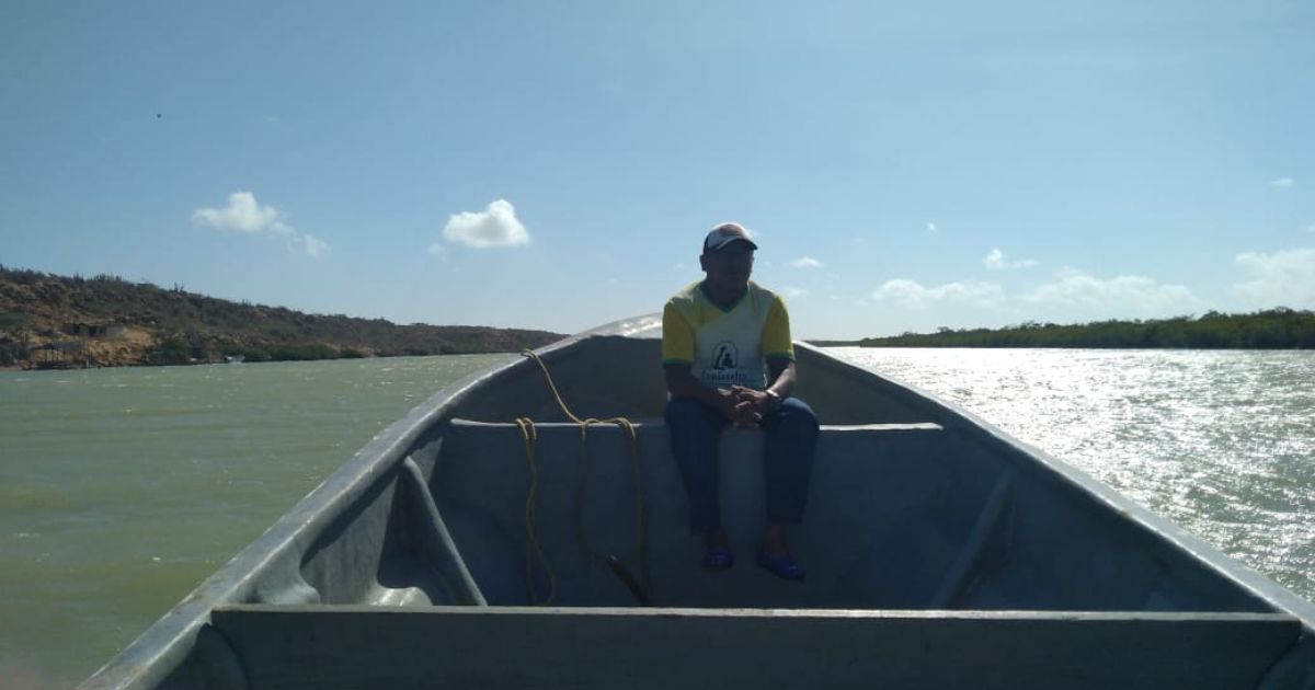 Los vampiros de La Guajira que siguen desangrando el departamento
