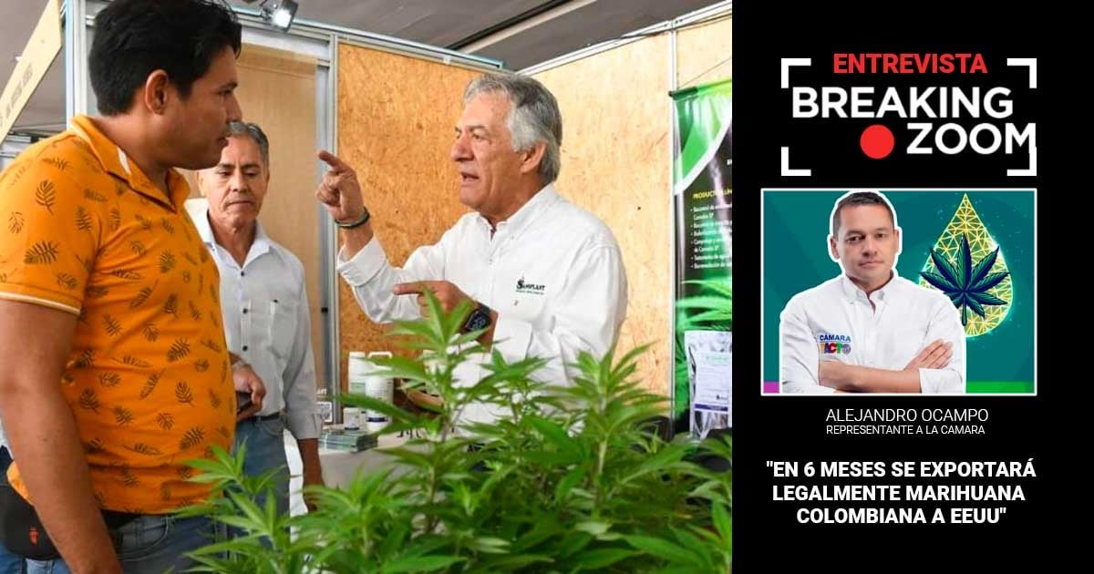 Fumadores de marihuana en cumbre en Cali: camino a la legalización