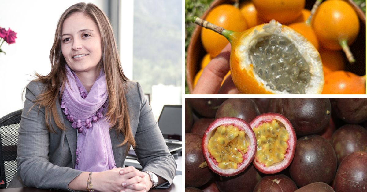La gulupa, granadilla y maracuyá: el boom de las frutas exóticas colombianas en el exterior