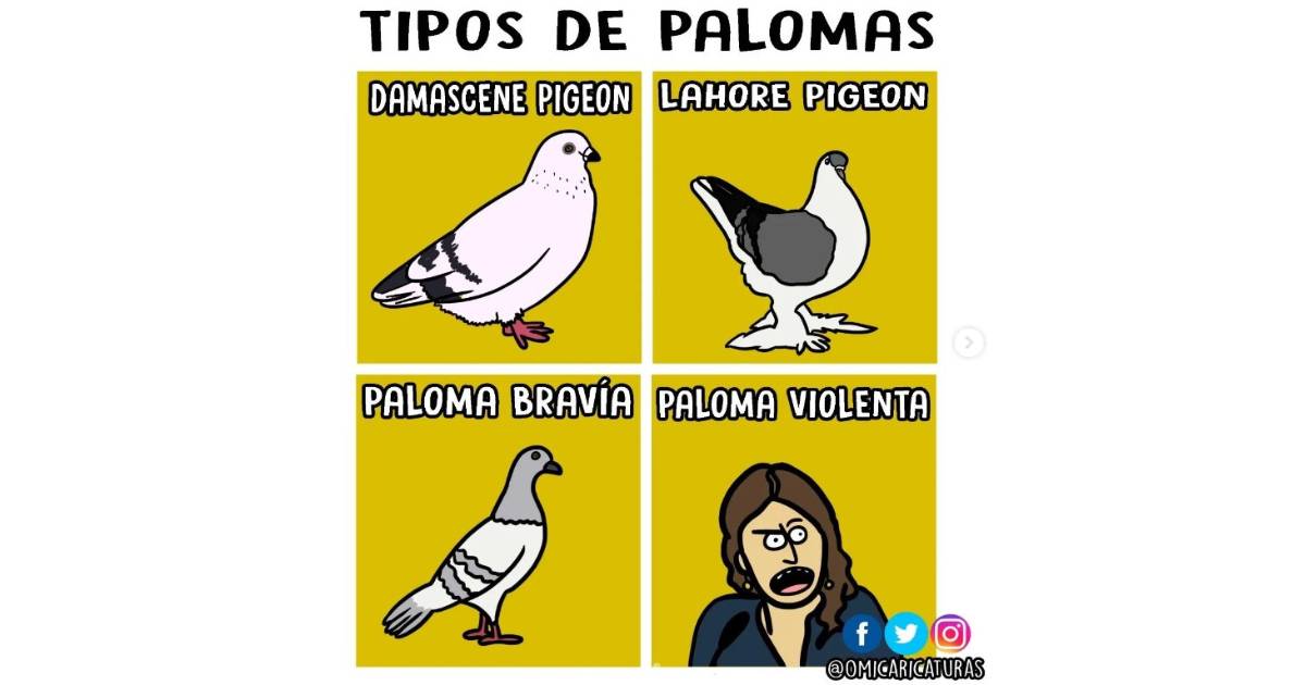 Caricatura: Tipos de palomas