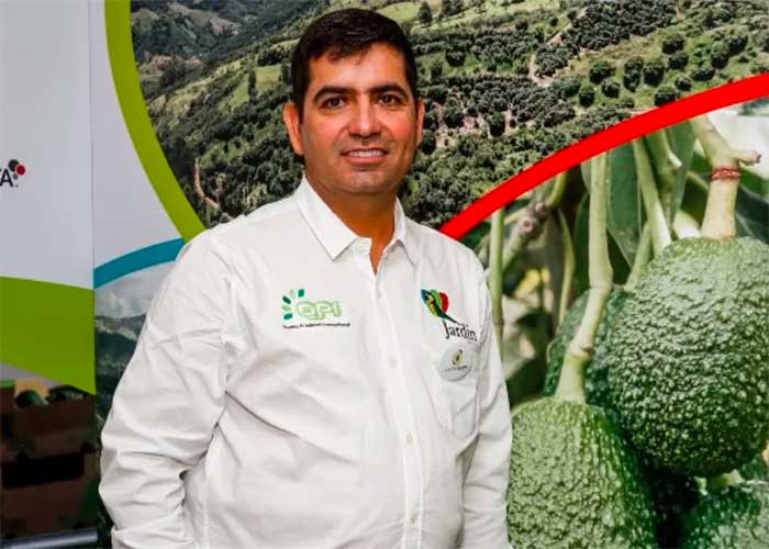¿Quiénes cultivan los limones Tahití, el aguacate y la exótica gulupa ...
