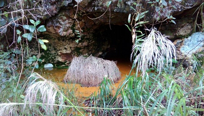 El riesgo que corre el imponente páramo del Jordán, en el macizo colombiano - -- Las2orillas - El riesgo que corre el imponente páramo del Jordán, en el macizo colombiano
