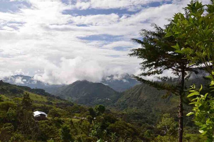  - El Cauca más allá del dolor y la violencia